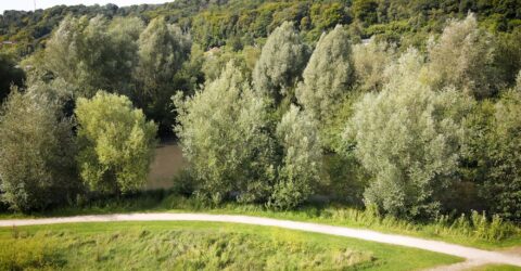 Biodiversité : le plan de restauration des mares de Caux Seine agglo
